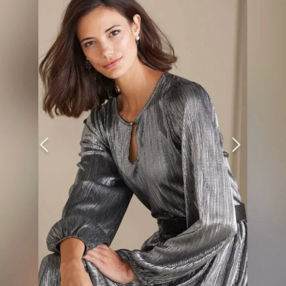 NWT Soft Surroundings Maxi Annabelle Pleated Dress Silver Petite Med (10-12) - Picture 5 of 12